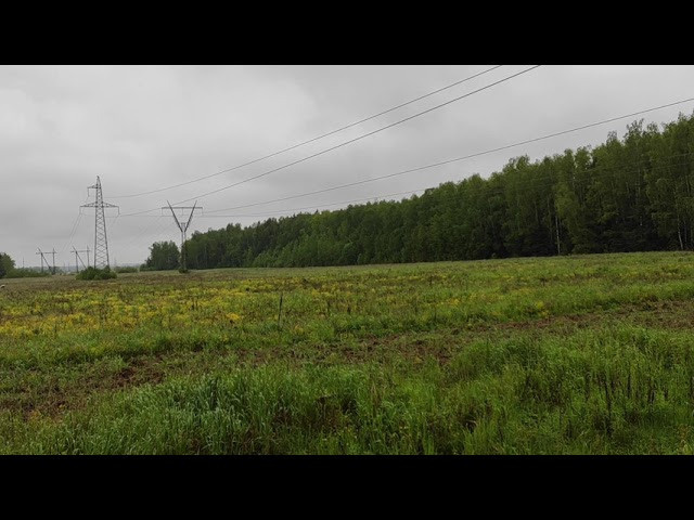 Mental arshin (2020). Igor Tereshkov