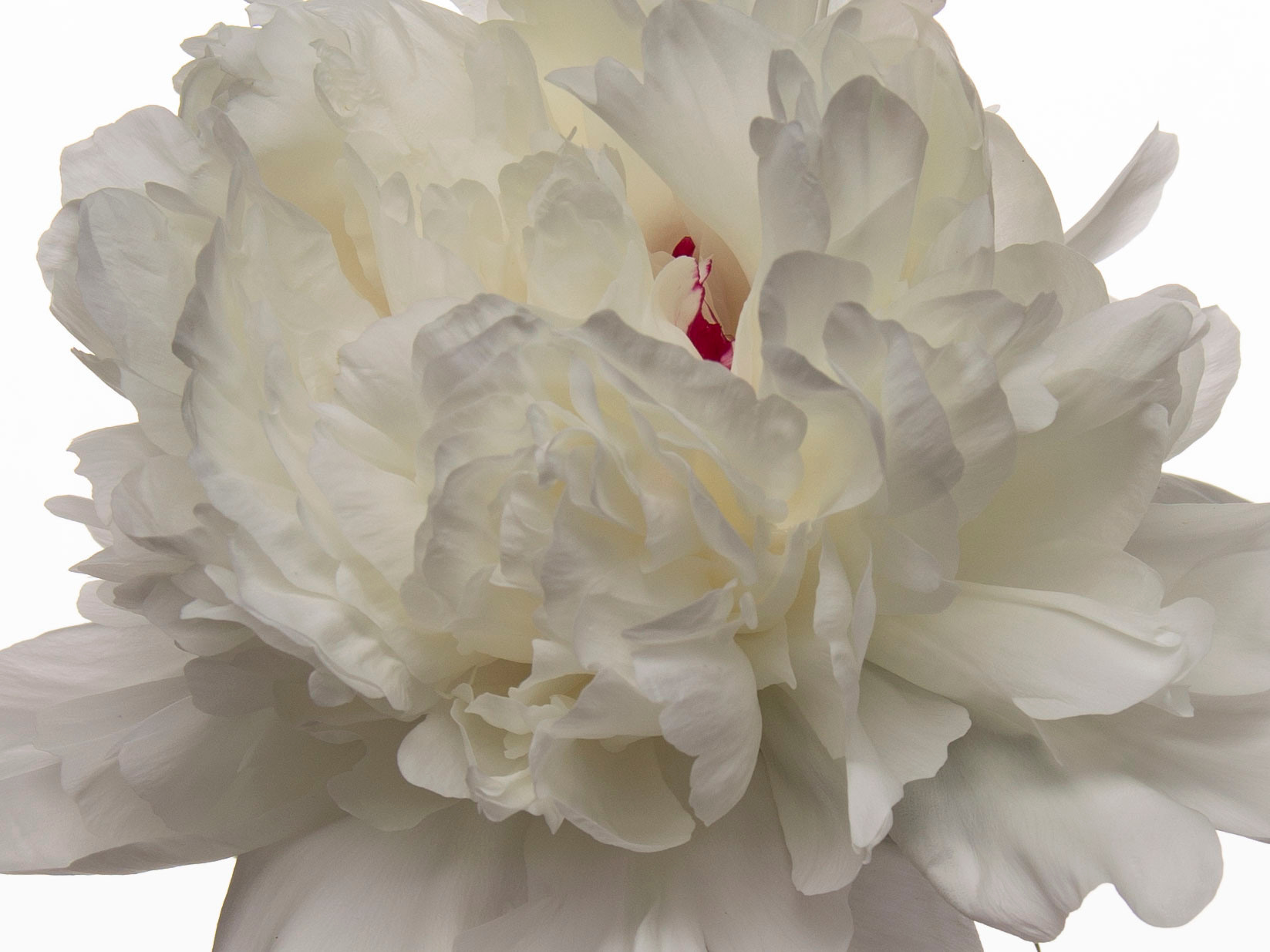 Цены на фотосессию в Перми. Предметный фотограф Перми Елена Яркова