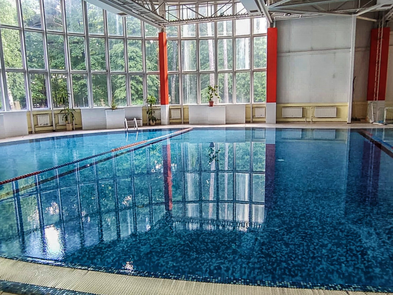 Детская школа плавания «Академия Старта» ASswim.ru в бассейне «Зоркий». ASswim.ru «Академия Старта» Детская школа плавания в Красногорске