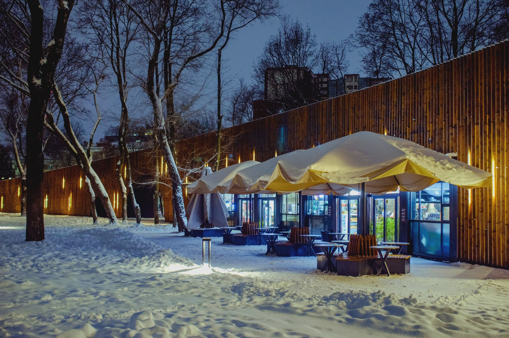 Зима уходящая. Руслан Шувалов (поэтограф)