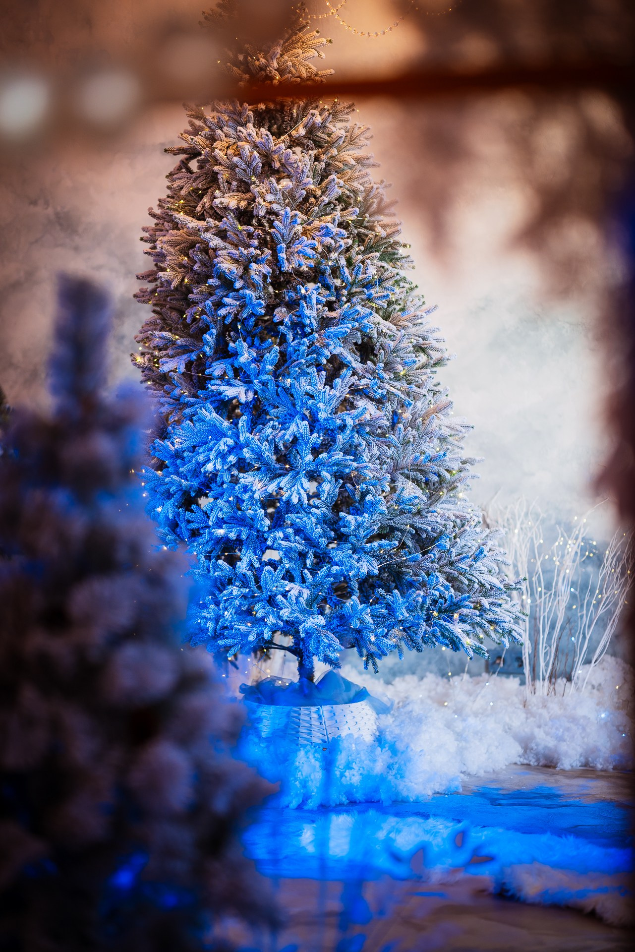 Фотостудия интерьерная в Туле — Давинчи |Davinci