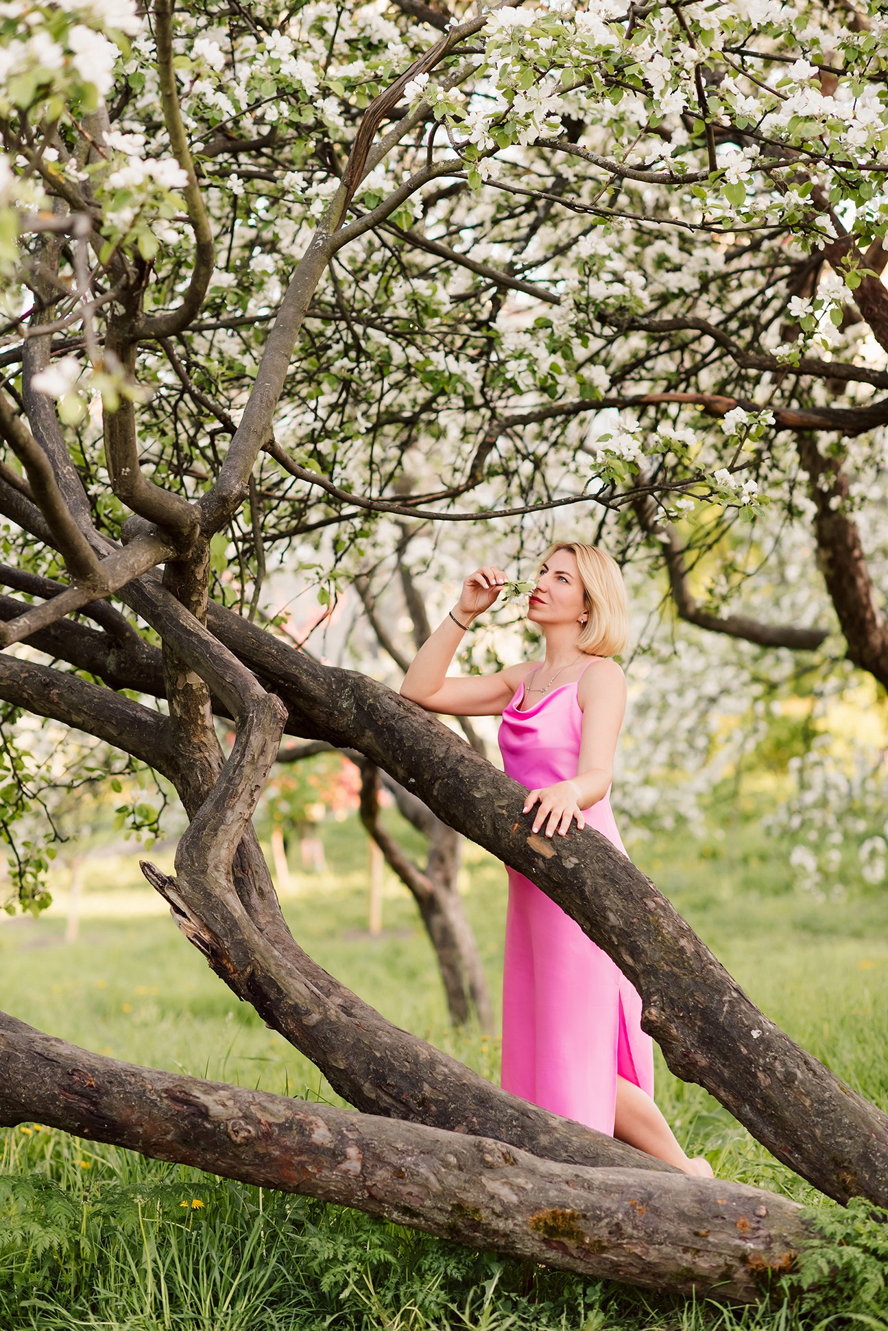 Фотосессия в яблонях в СПб, Фотосессия в цветении СПб. Семейный и Свадебный фотограф. Санкт-Петербург. Пушкин