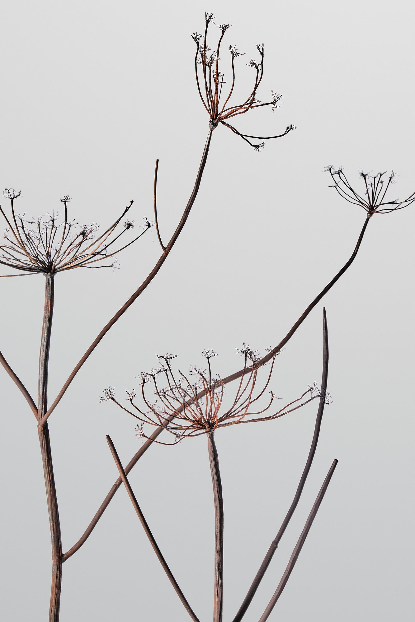 Выездная съемка произведений искусства — мобильная студия в Истре, Красногорске и по Западу МО. Создаю продающие картинки в городе Истра Фото Видео 3д рендеры визуализации