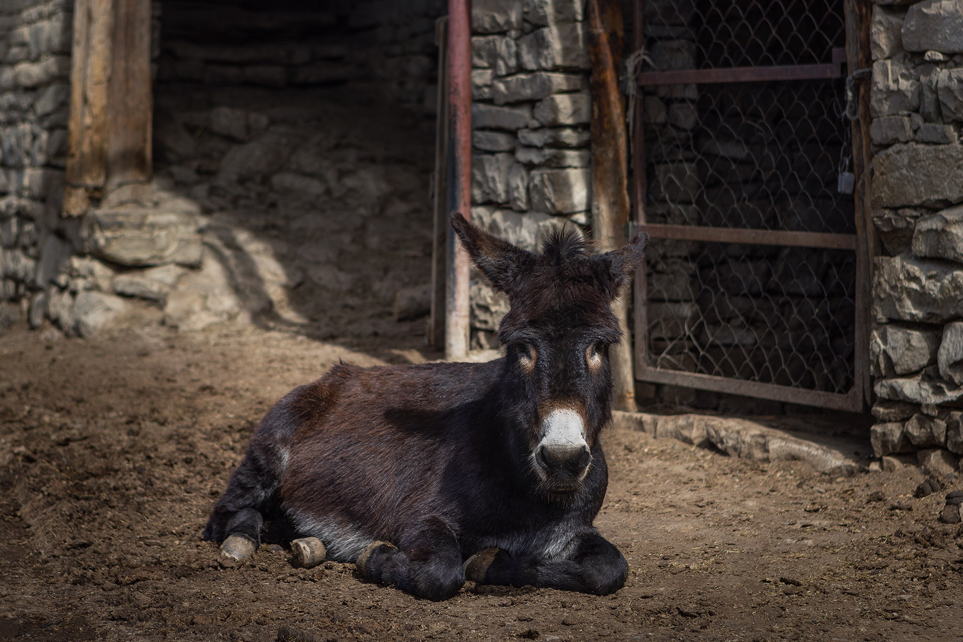 Экспедиция по Цумадинскому району и югу Дагестана 21.03.26 — 29.03.26. Дмитрий Купрацевич профессиональный пейзажный и travel-фотограф