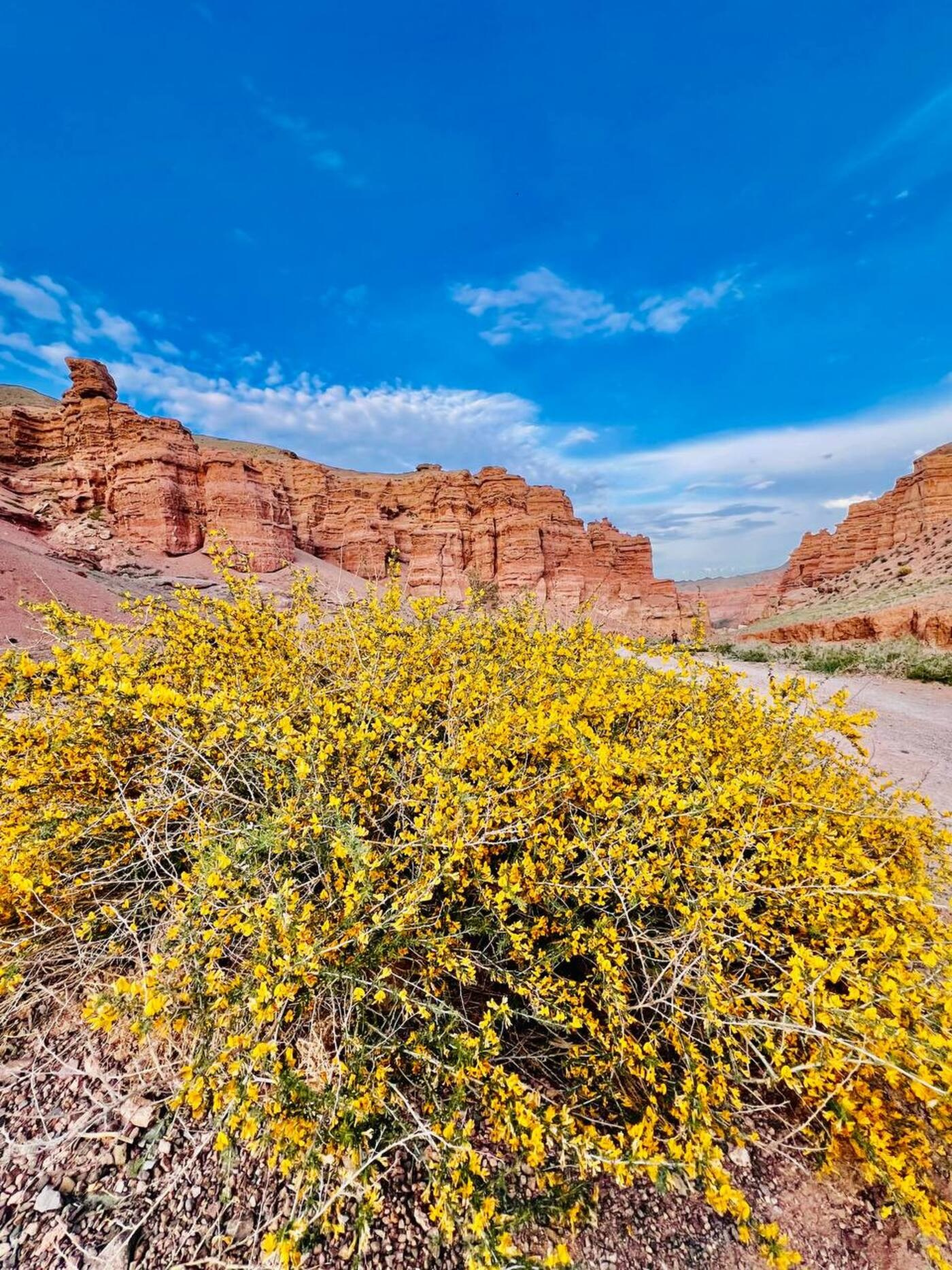 Melon Travel в Алматы: экскурсии и джип туры в Чарынский каньон, озера Каинды, Кольсай, Иссык, национальный парк Алтын Эмель