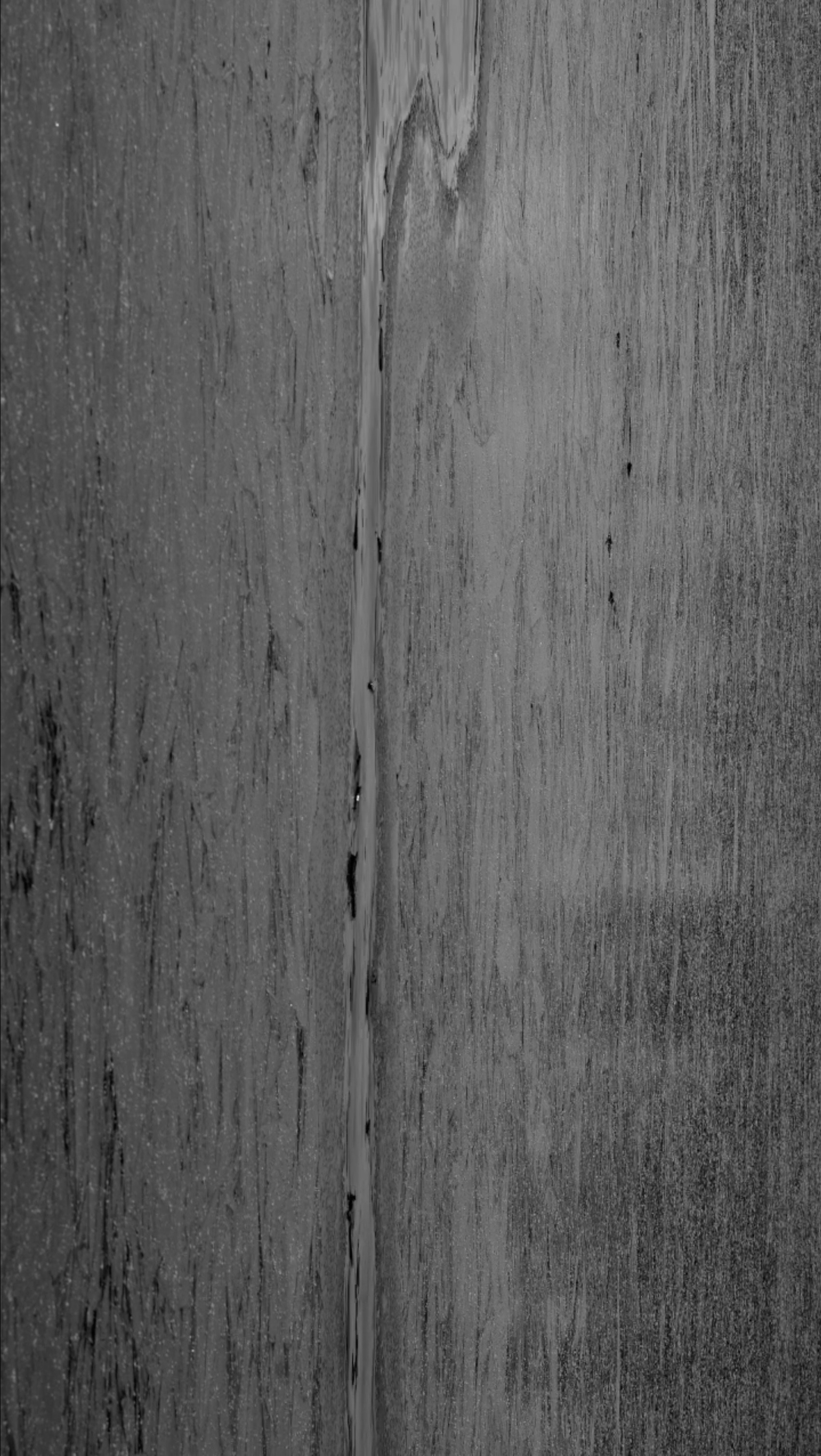 Нежные бабы. Что мне делать, чтобы земля оставалась на месте. Художественная группа «Нежные Бабы»