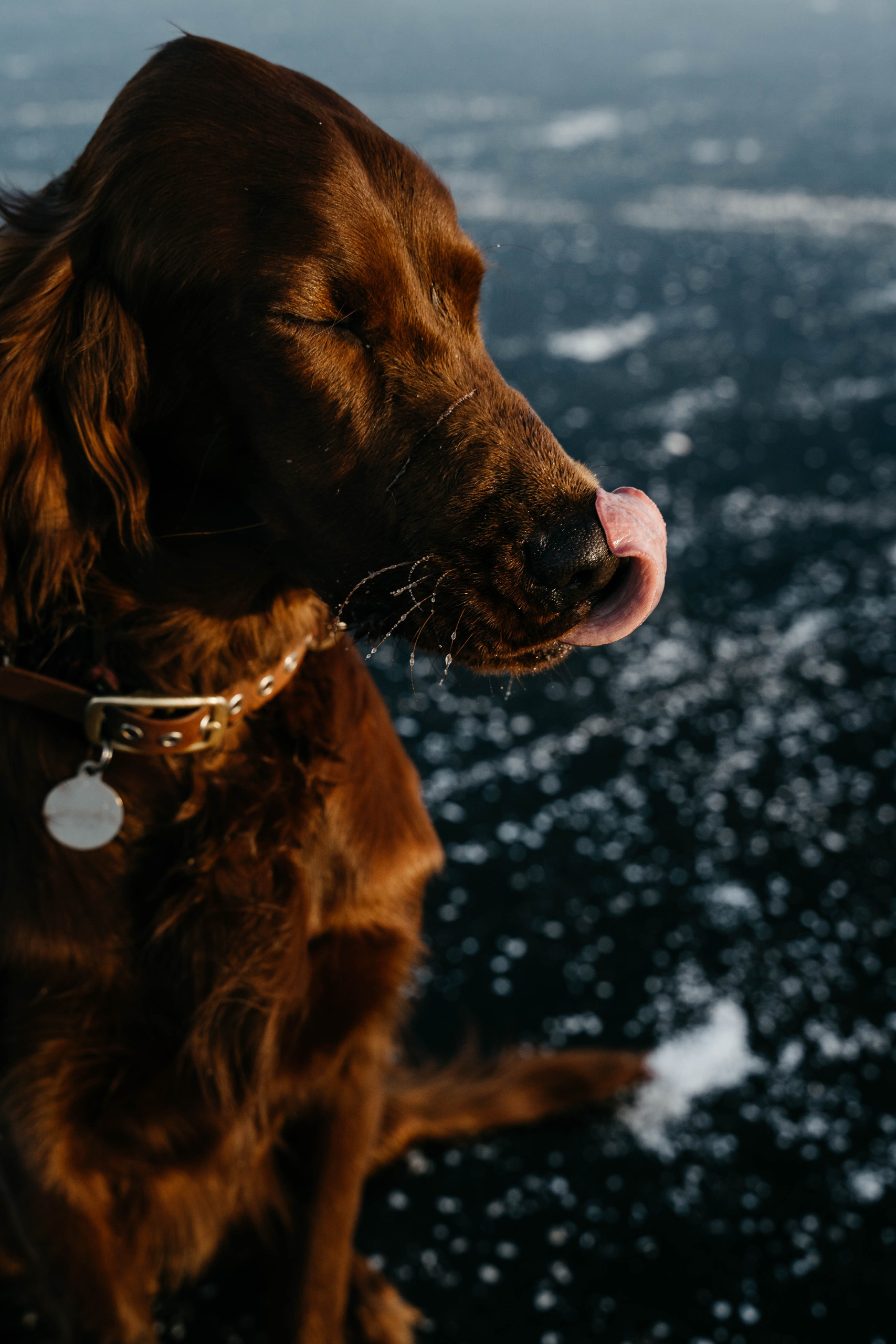Семейный фотограф в Москве Полина Курданина