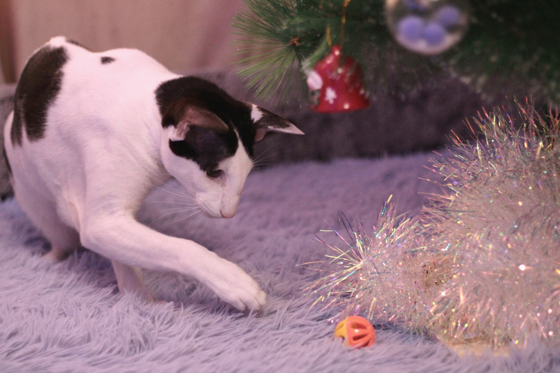 Катя Попова|ЛайфСтайл фотограф