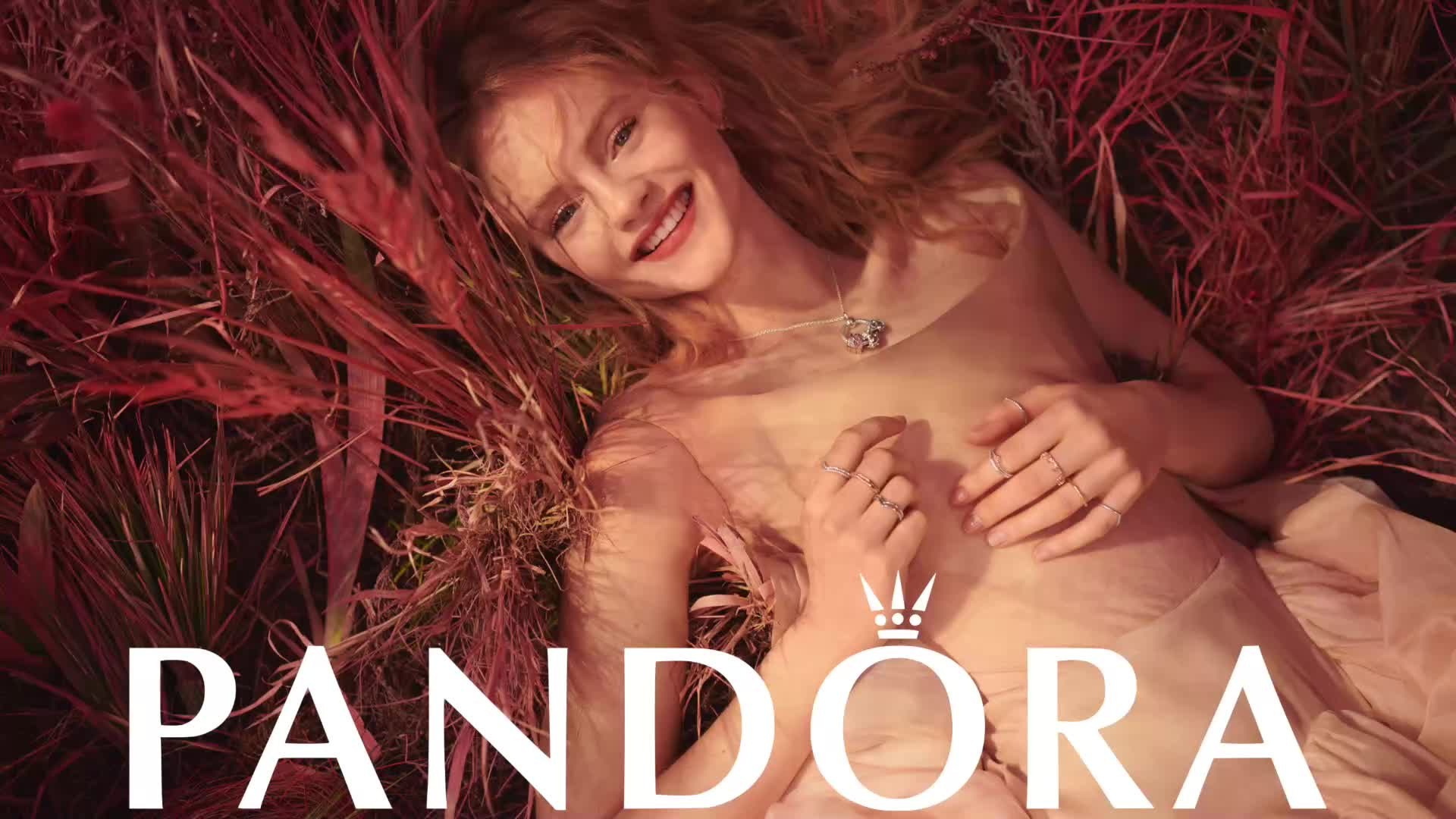 FESTIVAL CASES. FILM CUT