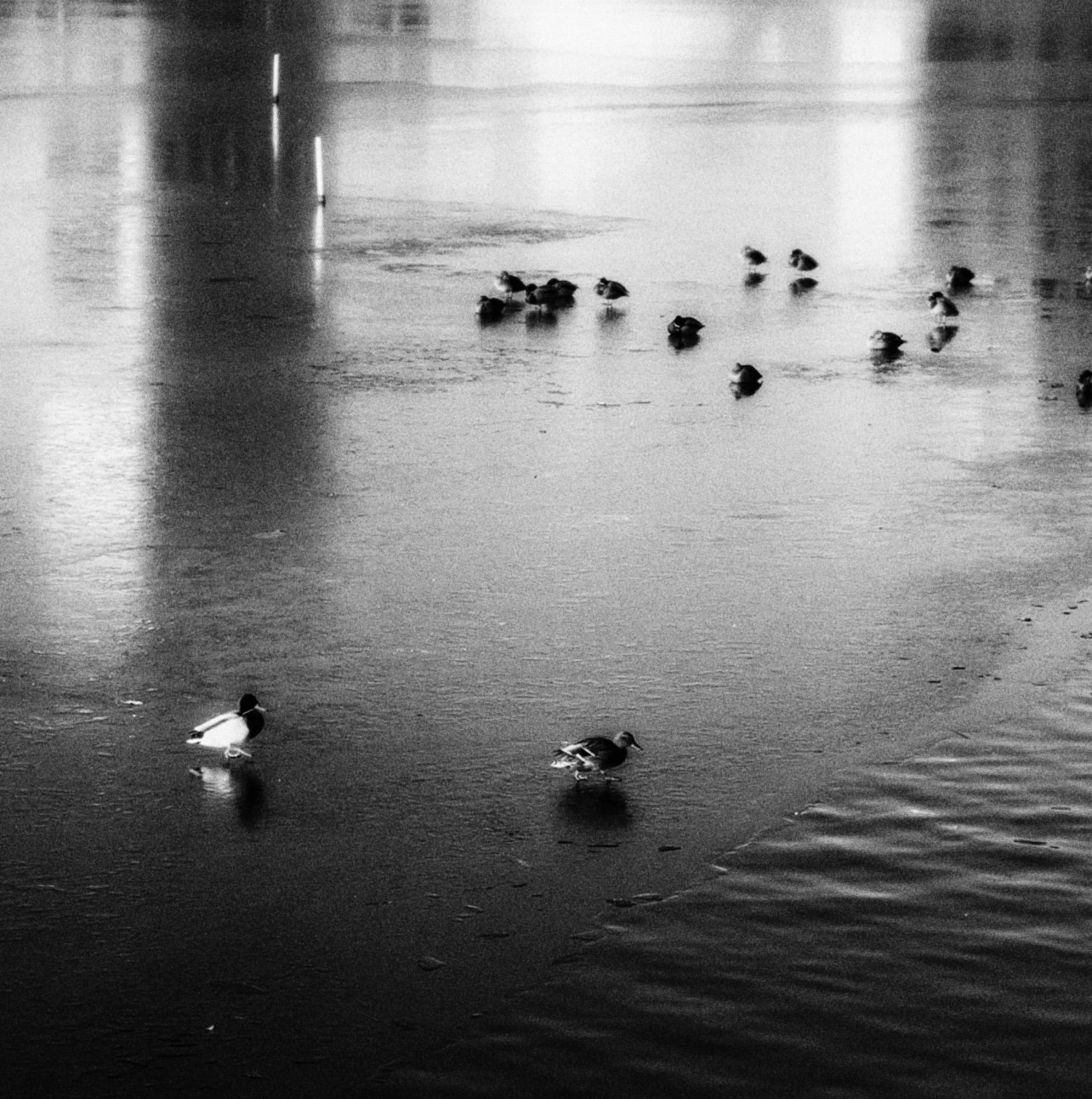 MINIMALISTIC LANDSCAPE. Evgeniia Mikheeva — International visual artist