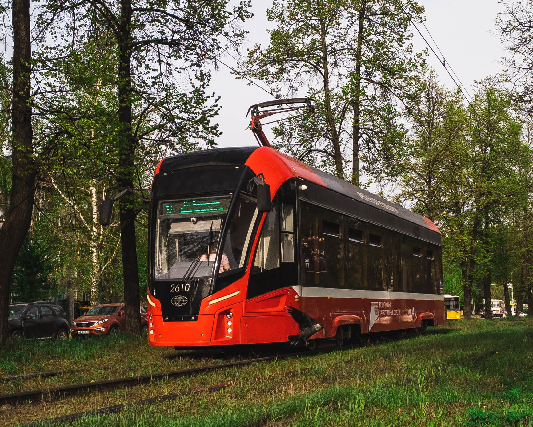Трамваи не суетятся. Олег Романов. Мастер фото по спорту
