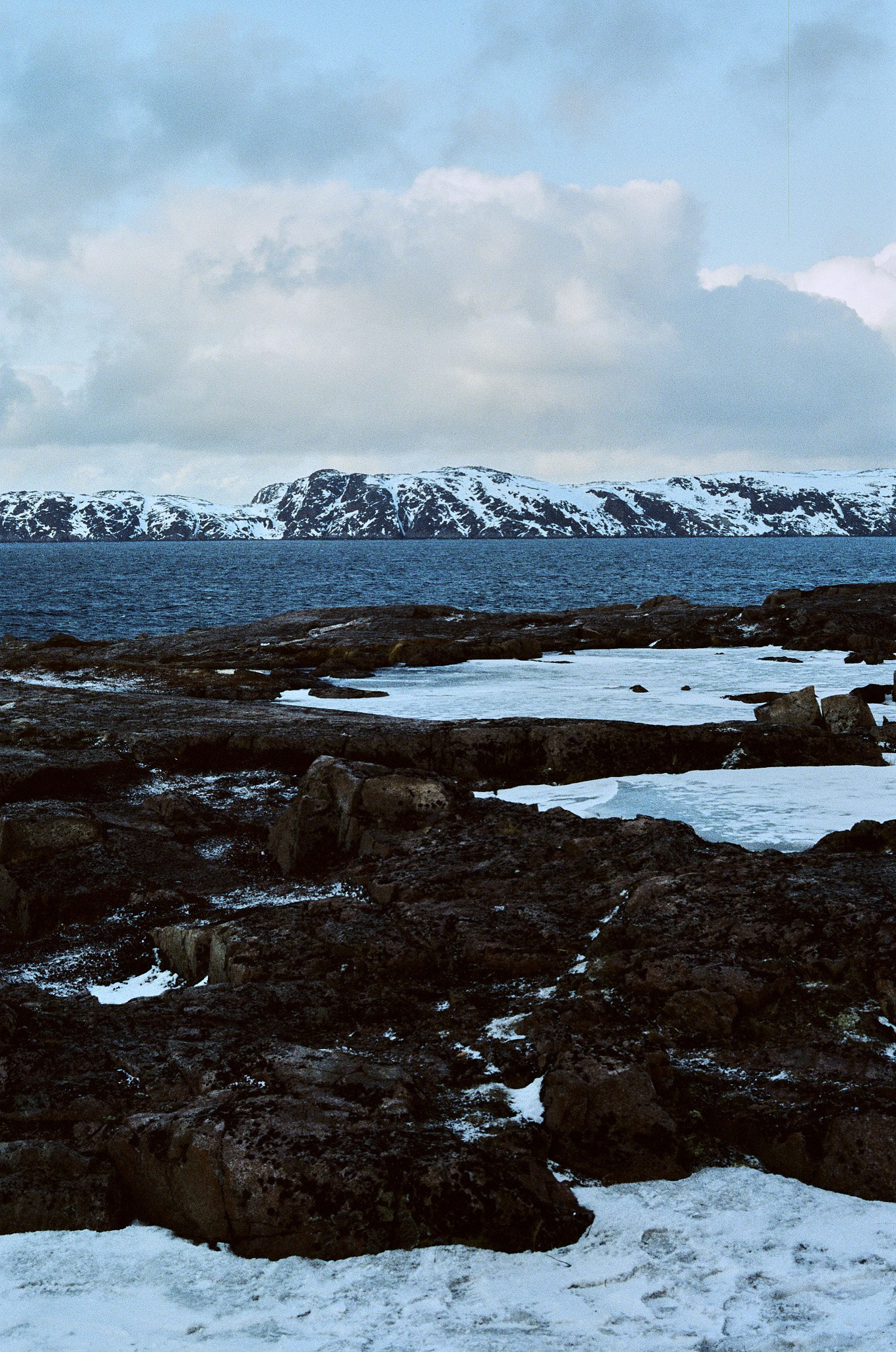 Teriberka (Murmansk). The Other Pavel Potseluev — film photography and mastery of meat business