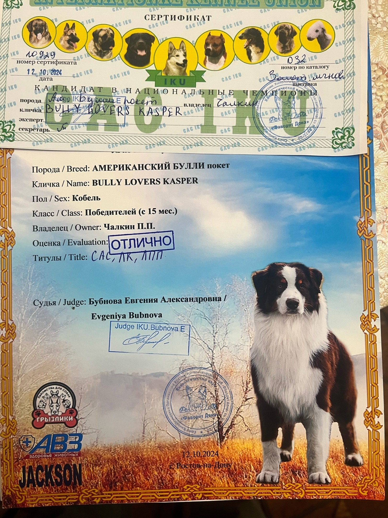 американский булли Юг, американский булли южный округ, лучшие американские булли на юге россии, топовые булли в россии, топовые американские булли в россии, ТОП булли, Топ американский булли, самые крутые американские булли, булли клаccик, булли покет, булли стандарт, булли экзот, булли xl, амeриканский булли, щенок булли, американский булли питомник, американский булли купить, американский булли щенок, американский булли москва, американский булли ростов-на-дону, американский булли краснодар, американский булли ставрополь, американский булли волгоград, американский булли семфирополь, американский булли ставрополь, американский булли сочи, американский булли воронеж, американский булли питер, американский булли санкт-петербург, американский булли Казань, американский булли Новосибирск, американский булли Челябинск, американский булли Ростов, американский булли Луганск, американский булли Донецк, американский булли покет, американский булли классик.американский булли ,американский булли щенки , американский булли купить ,американский булли фото , американский булли покет , собака американский булли , порода американский булли , американский булли цена , купить щенка американского булли ,американский булли характеристика , порода собак американский булли, питомник американских булли , американский булли отзывы, американский булли стандарт , американский булли отзывы владельцев, американский булли xl , россия американские булли , американские булли москва , американский булли вес , американский булли цена щенка, американский булли породы собак сша , американский булли размеры , американский булли классик , американский булли классика , американский булли характеристика породы , авито американский булли , сколько стоит американский булли , окрасы американских булли , американский булли виды , американский булли типы , американский булли цена в россии , американский булли экзот , американский булли микро , американский булли мини , собака американский булли фото , американский булли спб , американский булли характер , минусы американского булли , купить американского булли в москве , американские булли сколько щенков , плюсы американского булли , американский булли плюсы и минусы , взрослый американский булли , американский булли фото цена , американский булли фото щенков , американский булли крым , сколько живут американские булли , американский булли описание , американский булли купить авито , американский булли ростов , собачий питомник , питомник для собак , собаки , порода , щенки, щенок для детей, щенок для ребенка, щенок для семьи, собака для ребенка, питомник BULLY LOVERS, питомник THE POWER OF SIBERIA, питомник Ultimate Bully, питомник FORTIS FORTUNA VALIDI, питомник EXTREME BEAR, питомник American Dream, Питомник RUSSIAN BULLS, питомник ТАРУС & BULLY LAND, питомник Bully Ranch P&N, Питомник ANTREABULLS, питомник Ambully House, питомник Mar Nero, питомник Alfabulls, #micro #microbully #ambully #ambullys #ambullylife #ambullyforlife #ambullyworld #ambullylove #ambullylover #ambullylovers #ambullyloversfans #americanbullybreed #americanbullykennelclub #американскийбуллипитомник #bullies #bulliesallday #bulliesofig #bulliesofinsta #bulliesofinstagram #instabullies #bullieslife #bullymag #americanbully_feature #americanbullydog #tribullies #americanbullyblue #americanbullytricolor #bullystick #americanbullyStud, американский булли,американский булли щенки,американский булли купить,американский булли покет,американский булли фото,собака американский булли,порода американский булли,американский булли цена,американский булли купить щенка,американский булли характеристика,порода собак американский булли,американский булли отзывы,питомник американских булли,американский булли стандарт,американский булли отзывы владельцев,россия американские булли,американский булли виды,американский булли цена щенка,сколько стоит американский булли,американский булли цена в россии,американские булли москва,американский булли xl,американский булли размеры,типы американских булли,американский булли мини,американский булли вес,авито американский булли,американский булли породы собак сша,американский булли микро,американский булли характеристика породы,американский булли экзот,американский булли классик,американский булли классика,собака американский булли фото,американский булли характер,минусы американского булли,американские булли спб,американский булли окрасы,американский булли купить в москве,американские булли сколько щенков,плюсы американского булли,американский булли видео,американский булли плюсы и минусы,американский булли щенок фото,взрослый американский булли,американский булли девочка,американский булли описание,сколько живут американские булли,американский булли покет купить,американский булли крым,american bully,american bully ru,american bully ru shchenki,https american bully ru,https american bully ru shchenki,american bully xl,american bully питомник,american bully dog,american bully kennel,american dream bully,american bully pocket,american bully kennel club,all american bully фильм смотреть,american bully xxl,reddit american bully,american bully ru shchenki html,american bully wise,celina innovations crochet american bully part,https american bully ru shchenki html,american bully classic,питомник американских булли,питомник собак американский булли,питомник американских булли в крыму,питомник собак в крыму американские булли,питомник в крыму американский булли последние,питомник американских булли в москве,американские булли купить питомник,питомник американских булли в россии,питомник американских булли покеткупить щенка американский булли питомник,американские булли цена питомники,питомник американских булли в спб,питомник американских булли яна,купить американского булли в москве питомник,питомник американских булли в москве и московской,официальные питомники американских булли,крым питомник американских булли яна,булли американский купить питомник цена,москва и область питомники американских булли,питомник американских булли яна и гоша,американские булли подмосковья питомник,американский булли стандарт питомник,питомник американских булли екатеринбург,питомник американских булли ростов,лучшие питомники американских булли,питомник собак крым американский булли яна,яна питомник собак американский булли,американский булли купить в спб питомник,американский булли питомник львиное сердце уфа,американский булли питомник львиное сердце уфа вк,американский булли лучший питомник россии,американский булли питомник краснодар,американский булли купить спб щенка питомник,американский булли покет питомник москва,американский булли сайт питомник,питомник американский булли официальный сайт,питомник американских булли в челябинске,питомники американских булли в россии список лучших,питомник собак американских булли серпухов,питомник собак дзен американский булли,американский булли xl питомник,питомник американских булли в талдоме,питомник и цена американ американский булли,фаворит гигант питомник американских булли,американский булли купить,американский булли купить щенка,американский булли купить в москве,американский булли покет купить,американский булли купить щенка в москве,американский булли купить авито,купить американский булли цена,купить американского булли в спб,купить собаку американский булли,американский булли купить щенка цена,американский булли покет купить щенка,американский булли купить в беларуси,американский булли стандарт купить,американский булли купить москва московская область,купить американского булли в россии,купить американского булли в московской области,американский булли купить в екатеринбурге,американский булли купить в новосибирске,американский булли купить щенка в спб,