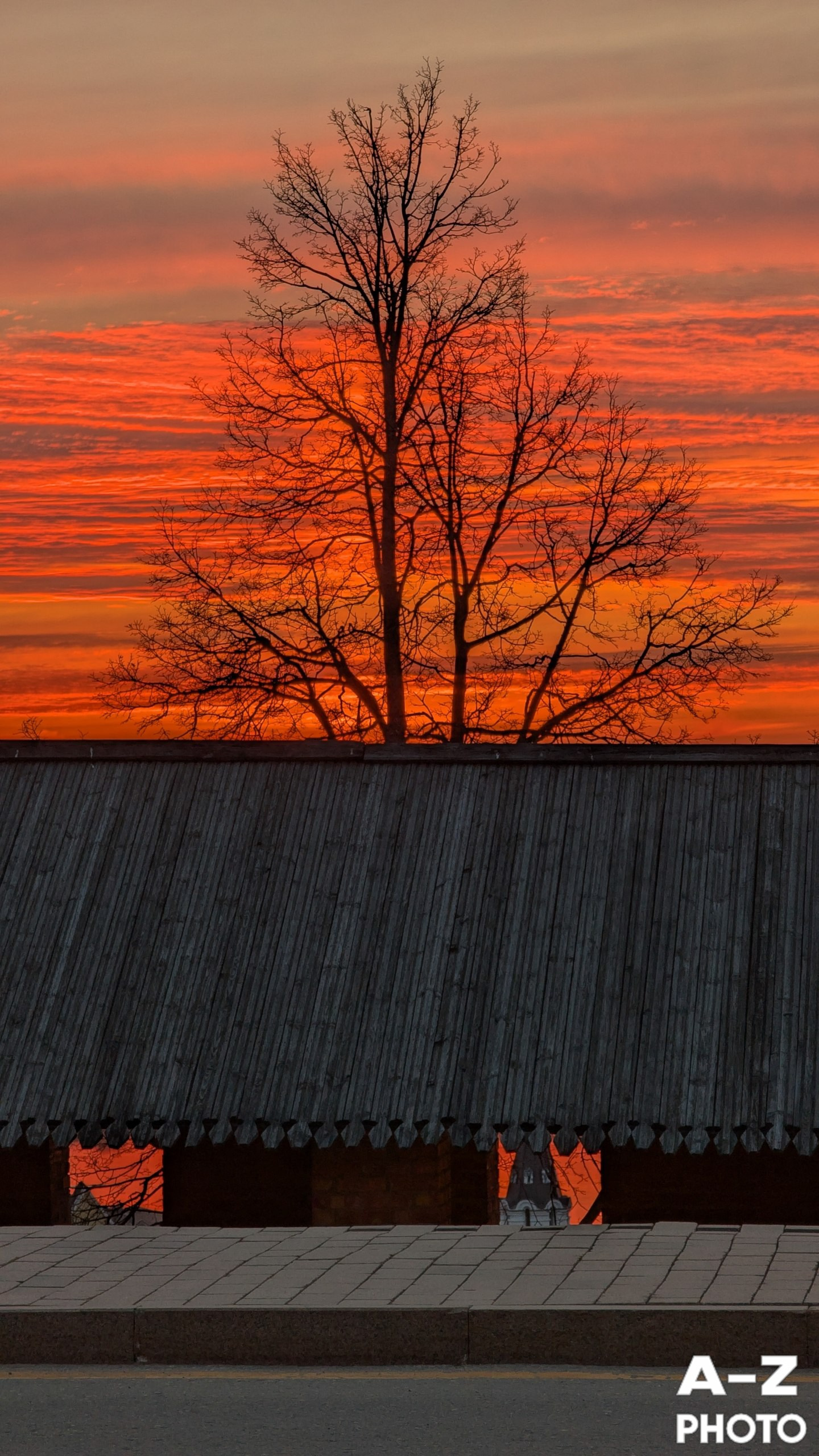 #ФОТОНЕДЕЛИ 06.04.2026. Женский семейный фотограф Тула Москва Захарова Анна