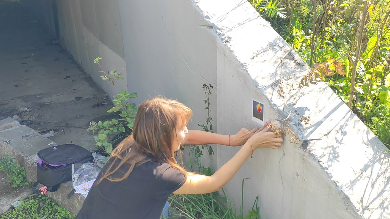 Проект «Гори, гори ясно!»