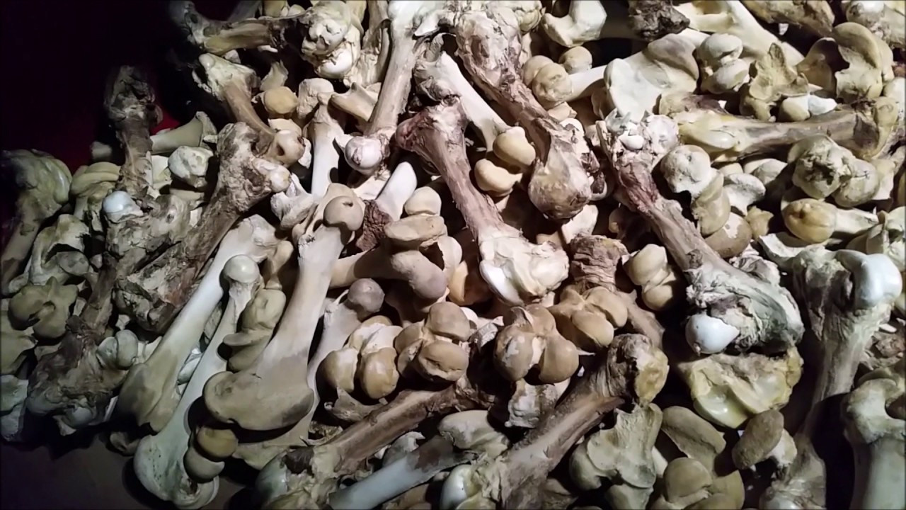 Современное искусство. Фотограф в жанре Ню. Татьяна Хасанович. Красноярск