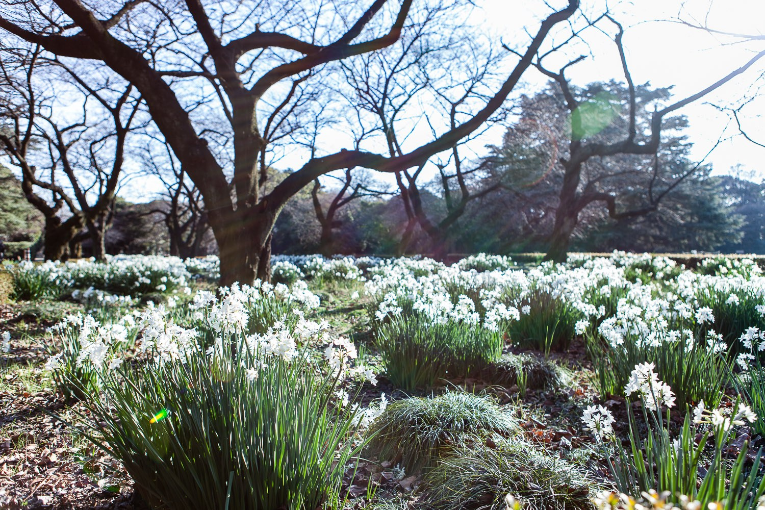 Фотограф и личные проекты. Ира Зимина — портретный фотограф и художник в Калиниграде и Москве