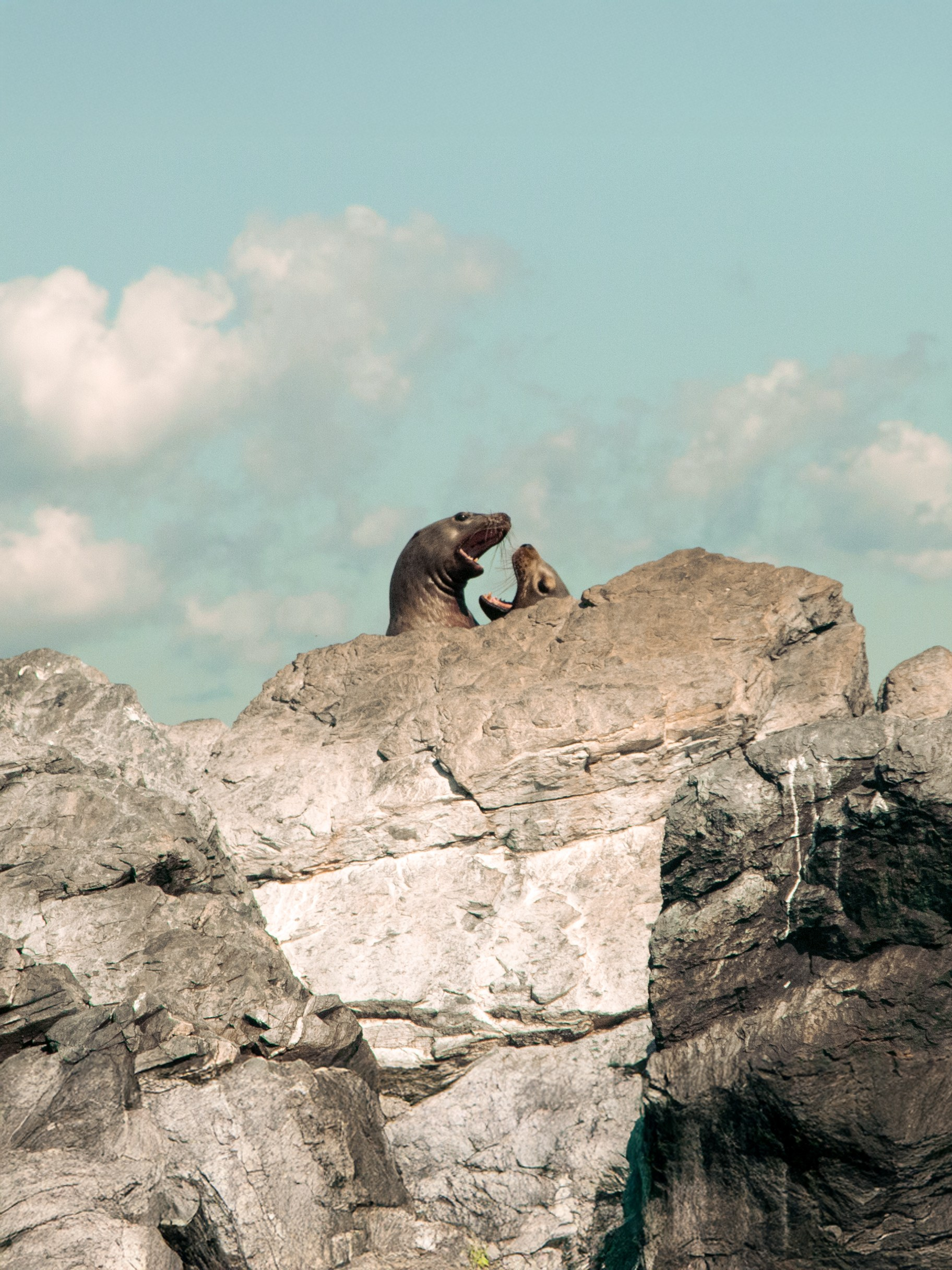Поп-ап фотограф в Ростове-на-Дону