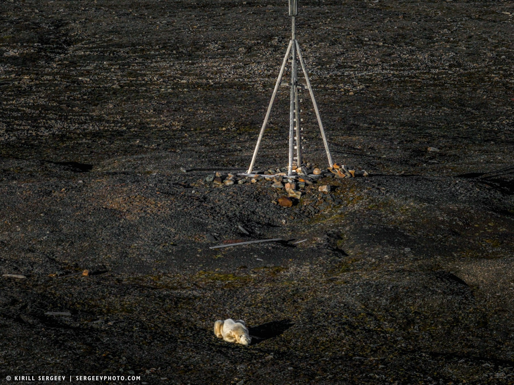 北極奧德賽. 攝影師 基里爾·謝爾蓋耶夫 |莫斯科