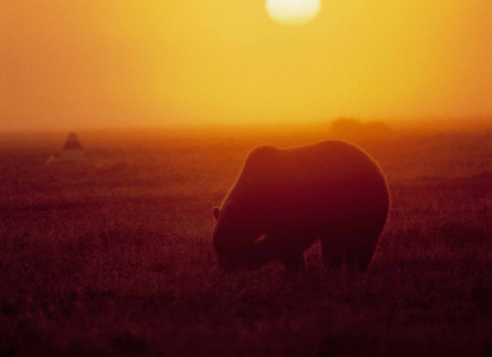 Коллекционные альбомы. ВАДИМ ГИППЕНРЕЙТЕР — ВЕЛИКИЙ ФОТОГРАФ ЗЕМЛИ РУССКОЙ