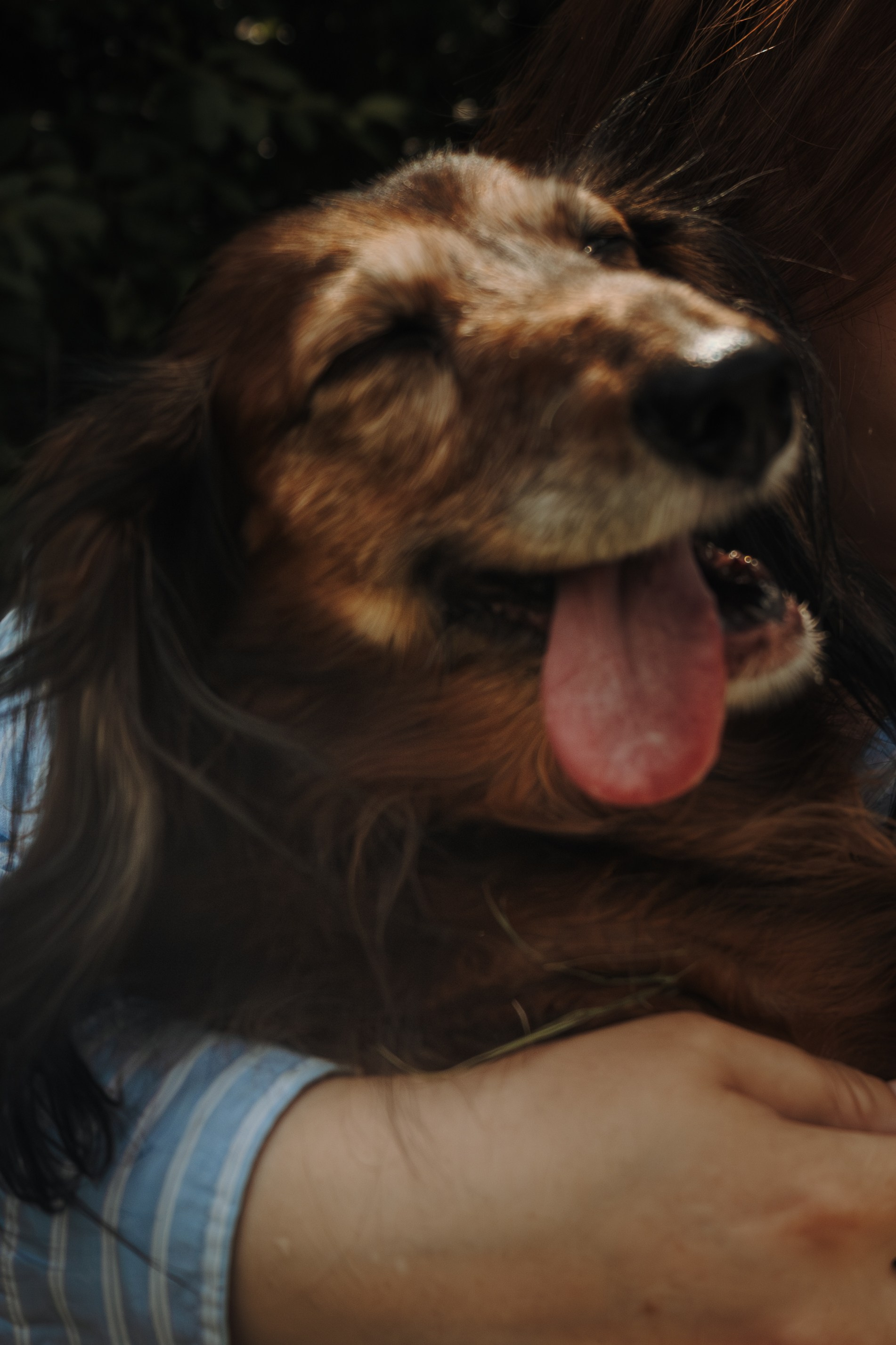 Фотограф-анималист в Москве Екатерина Тихонова