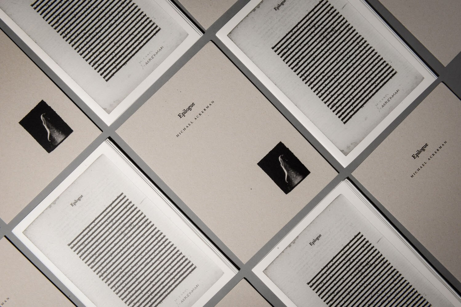 Книга Майкла Акермана (Michael Ackerman) «Hunger — Epilogue». Private image