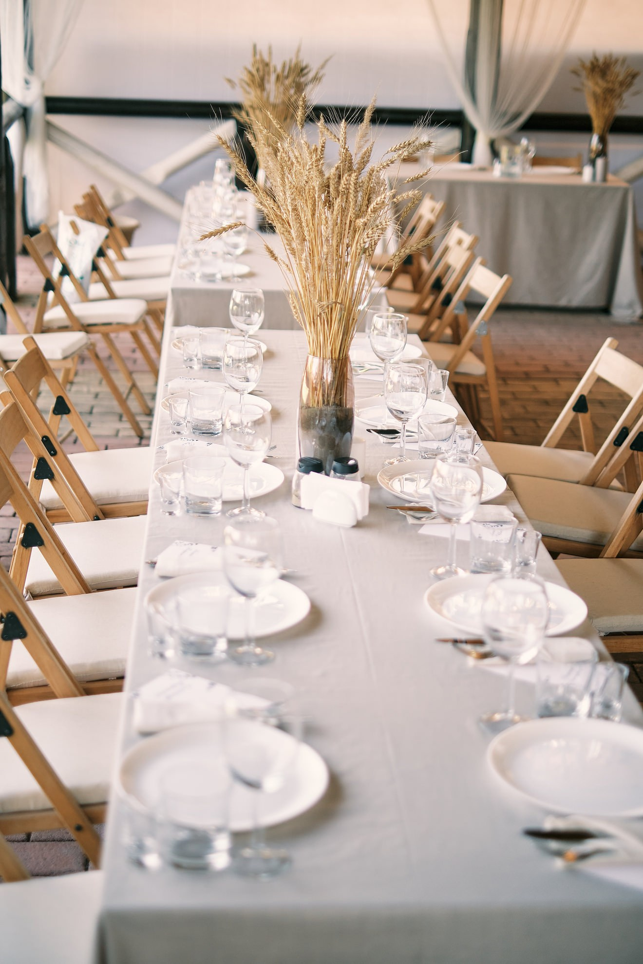 Организация и проведение стильный мероприятий на Алтае