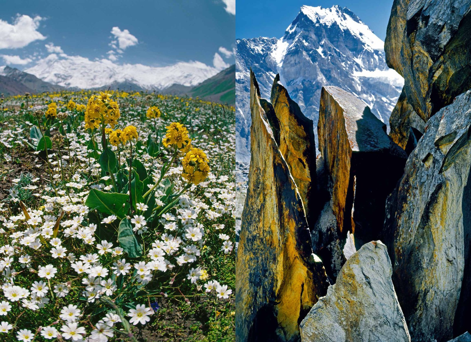 Коллекционные альбомы. ВАДИМ ГИППЕНРЕЙТЕР — ВЕЛИКИЙ ФОТОГРАФ ЗЕМЛИ РУССКОЙ