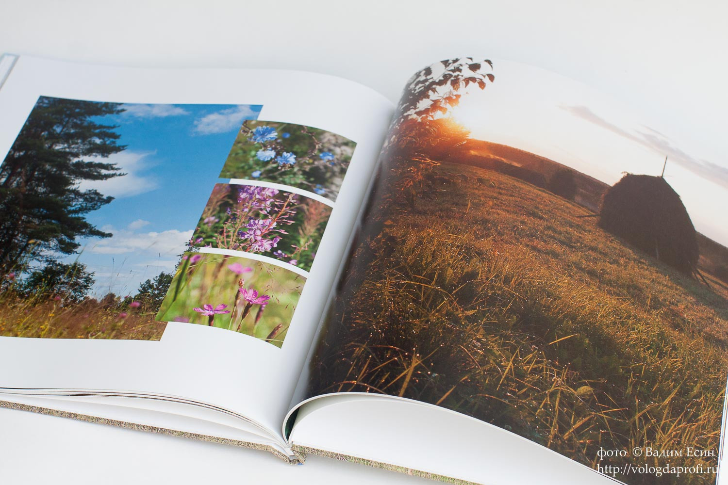 Ведение семейной фото-видеолетописи