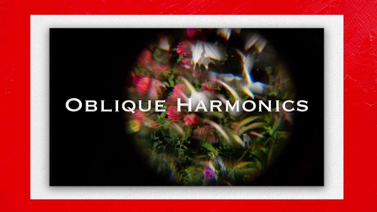 FILMS. Visual artist and photographer Alexandra Muravyeva