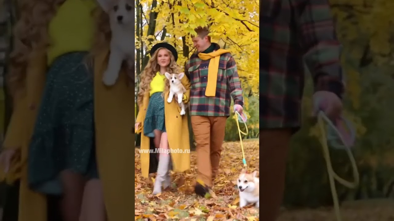 Рилс. Фото и видео Москва. Свадебный фотограф, видеограф, фотосессии, видеосъемка