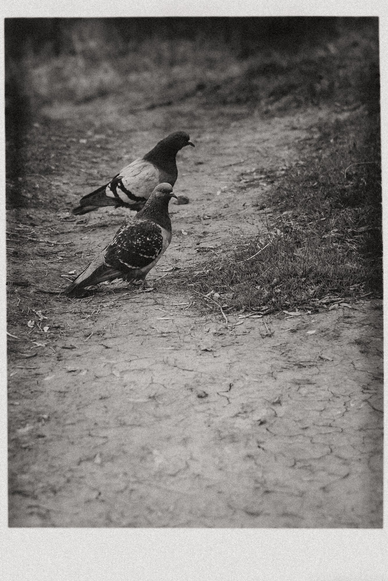 Фотограф в Тюмени Дарья Мустафина Портретная серия «Берег и тишина». Портретный фотограф Тюмень Дарья Мустафина