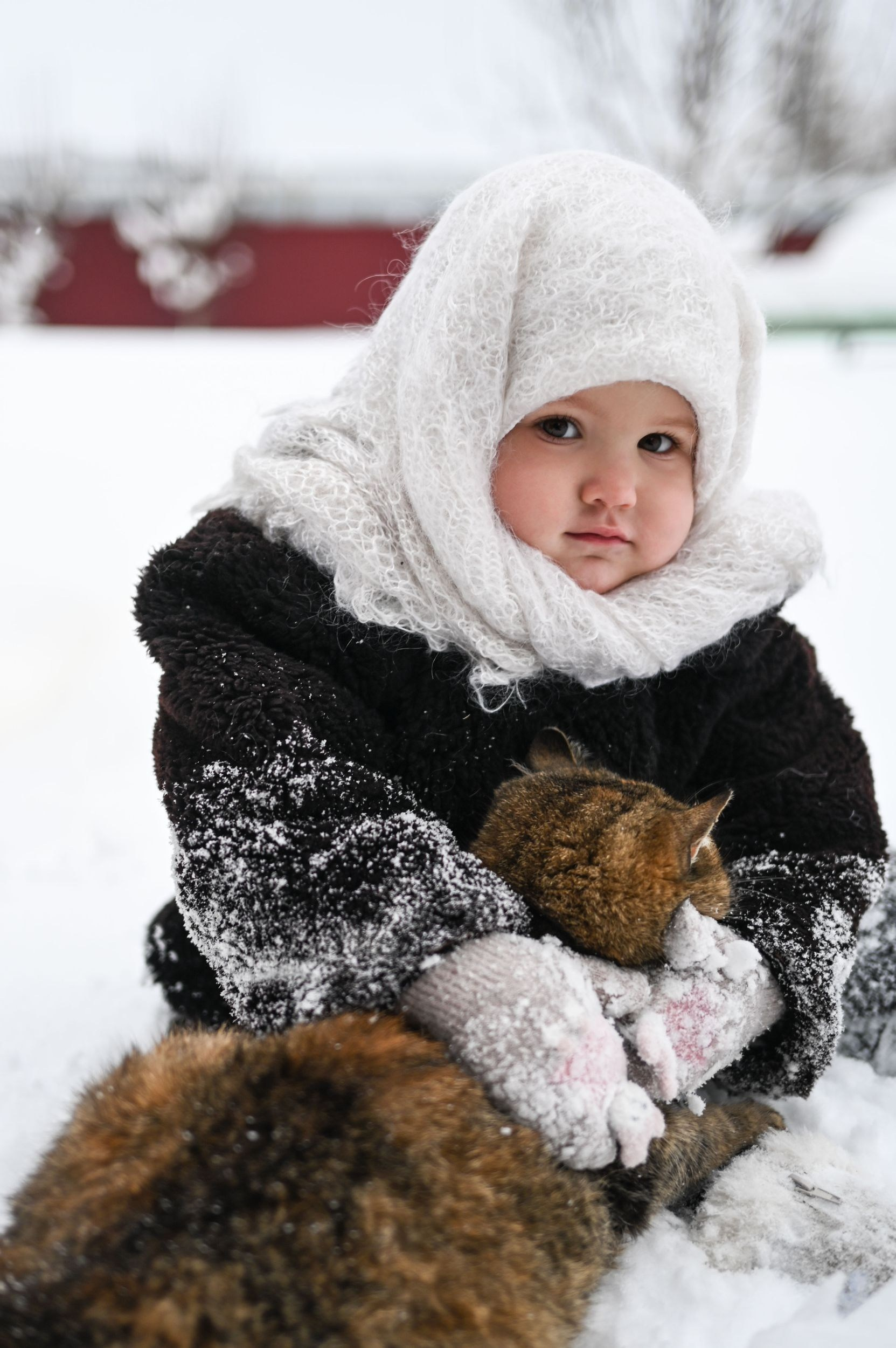Услуги. Фотограф Дмитров Катерина Дубровская