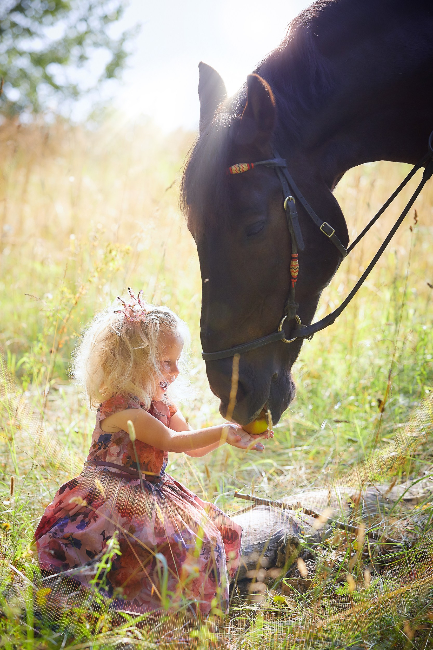 Фотосессия с лошадьми Фотограф Михаил Семенов, г. Ярославль