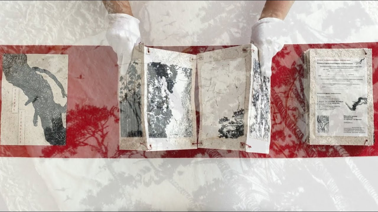 A Collection of Exercises (2023)