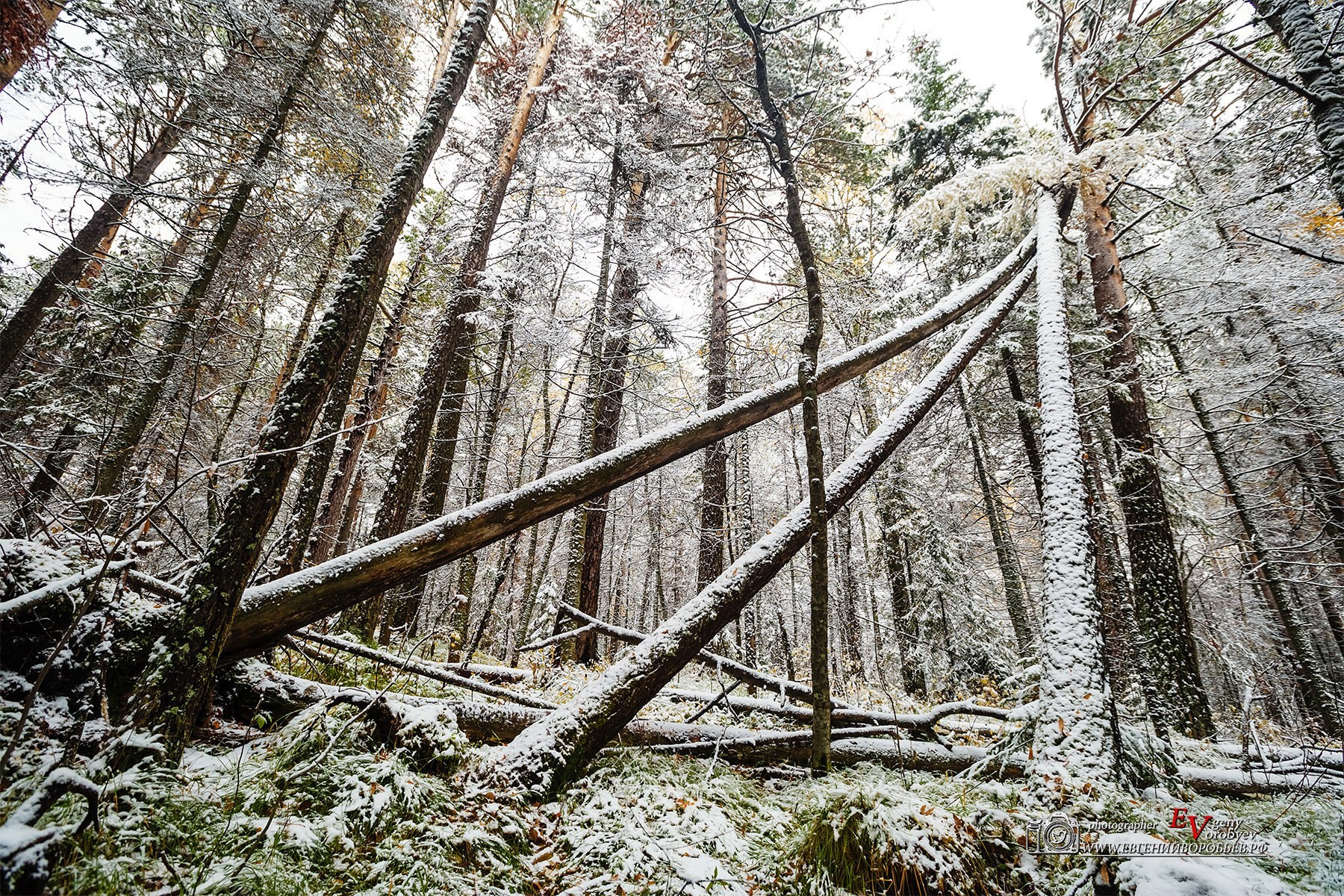 Экскурсия фото тур Национальный парк заповедник Красноярские столбы фотосессия маршрут путешествие личный гид Красноярск