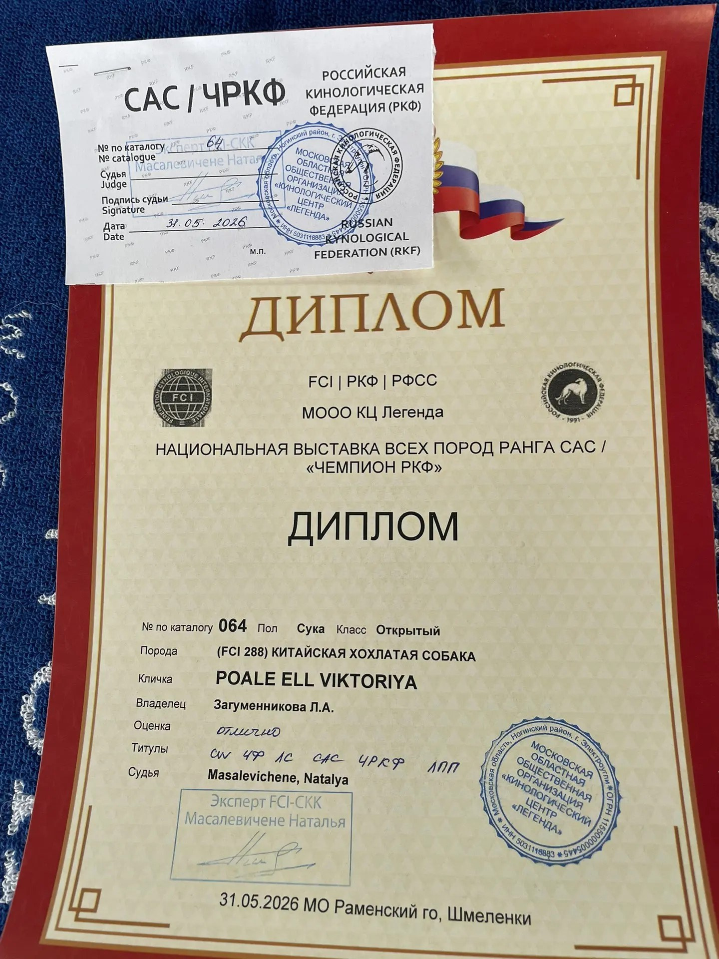 УРА, Вика и Велес Чемпионы!!! 🏆
