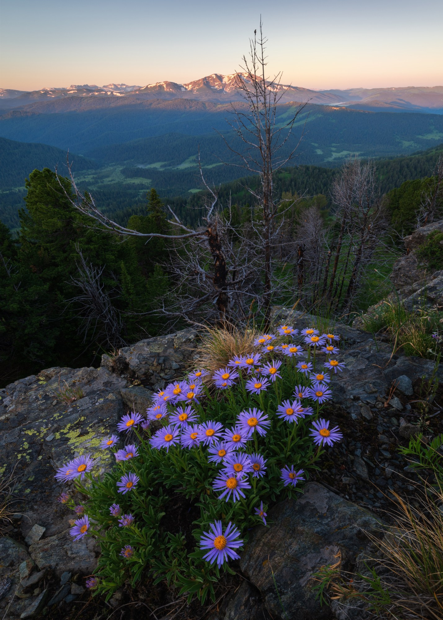 Лето в Горном Алтае. Профессиональный пейзажный фотограф Алёна Рубан