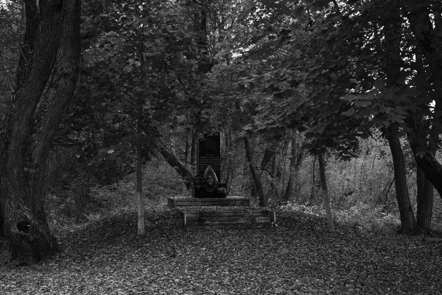 Непокорённая земля. Пылина Ирина — современная фотография