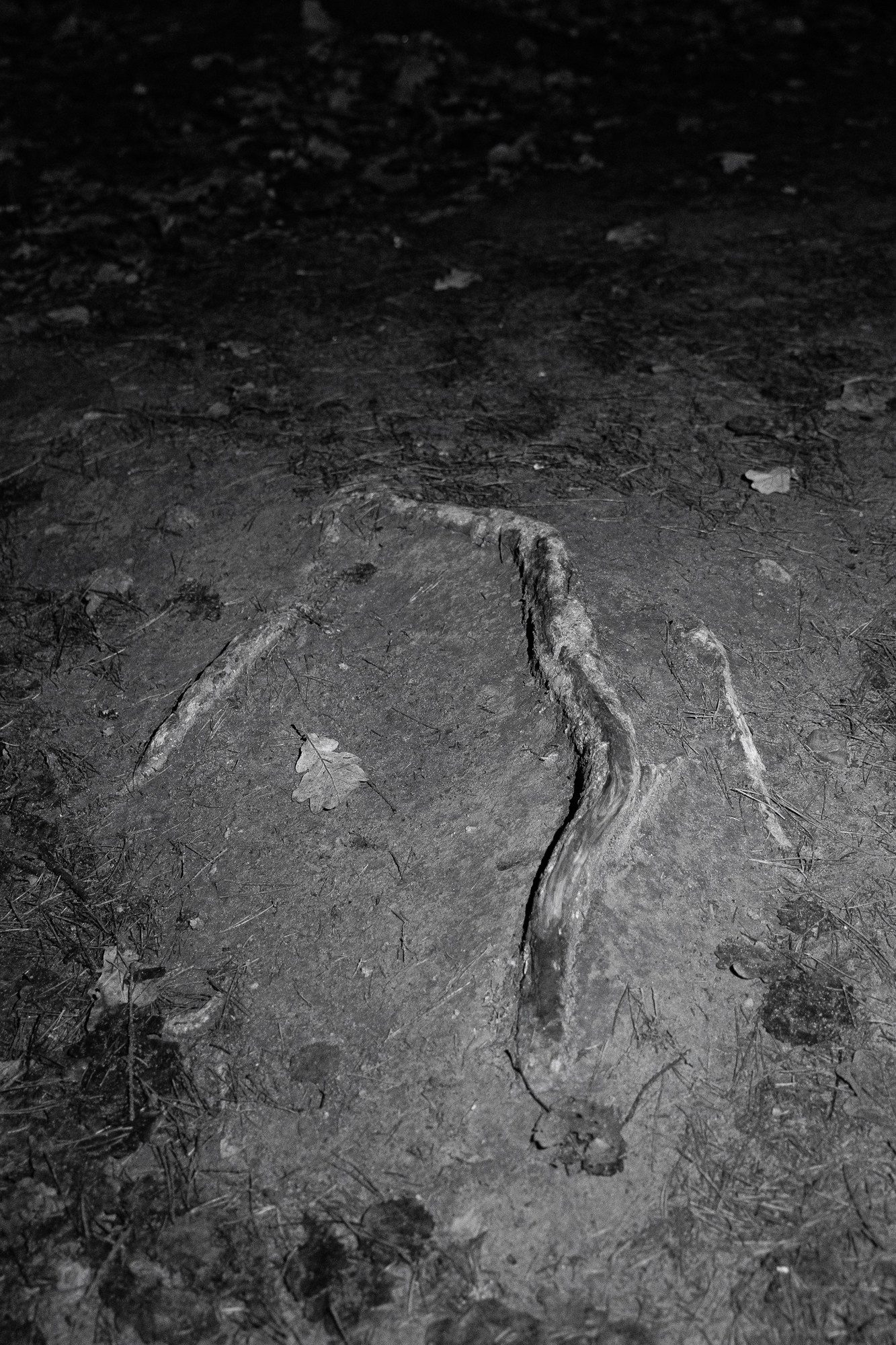 Пограничье. Юлия Леонова — фотограф, визуальный художник Минск