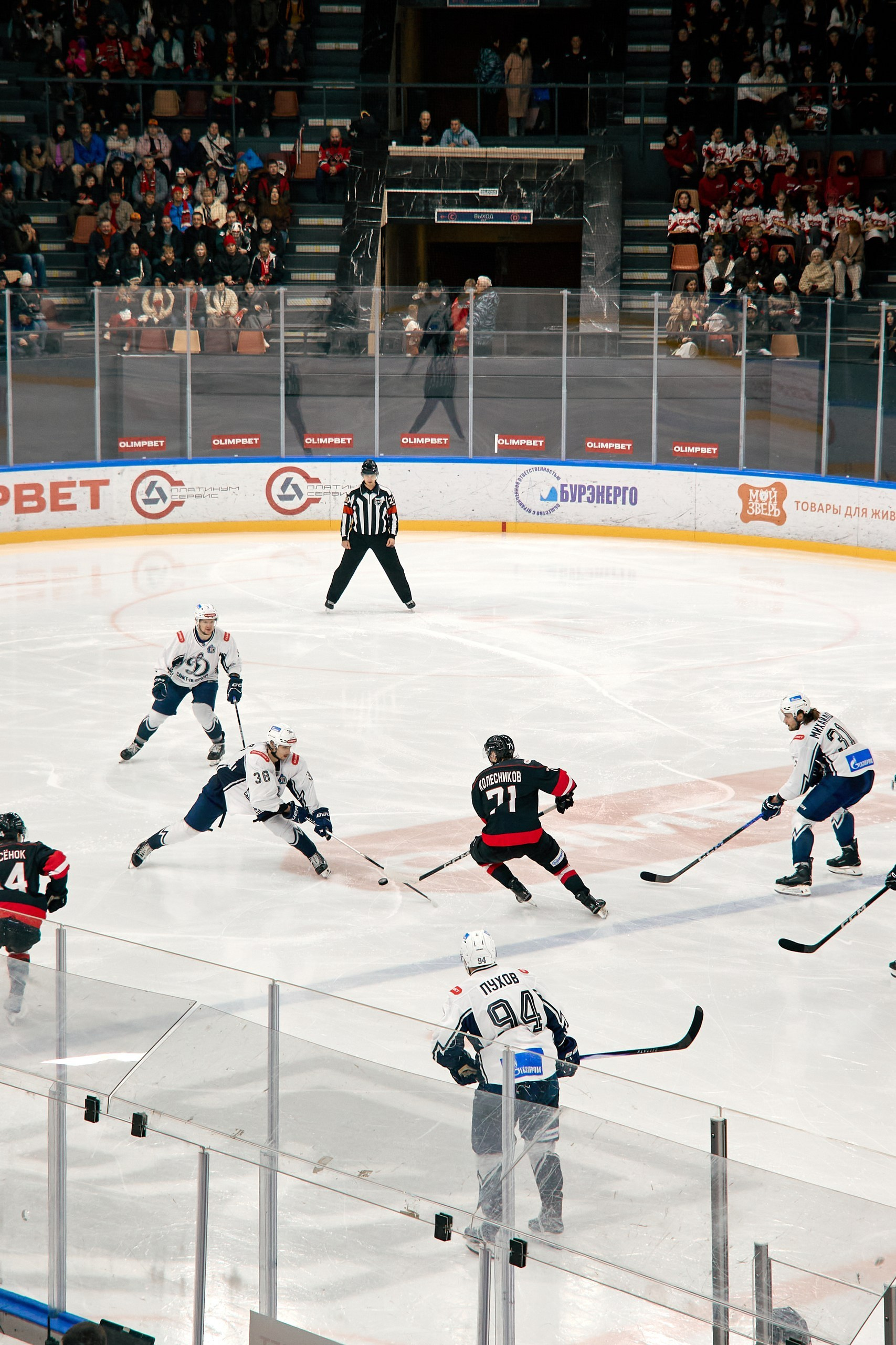 Фотосъемка хоккейного матча Молот — Динамо СПБ