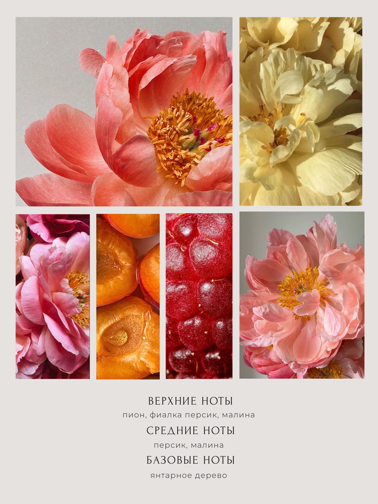 WB. Индивидуальный фотограф Дарья Костарева