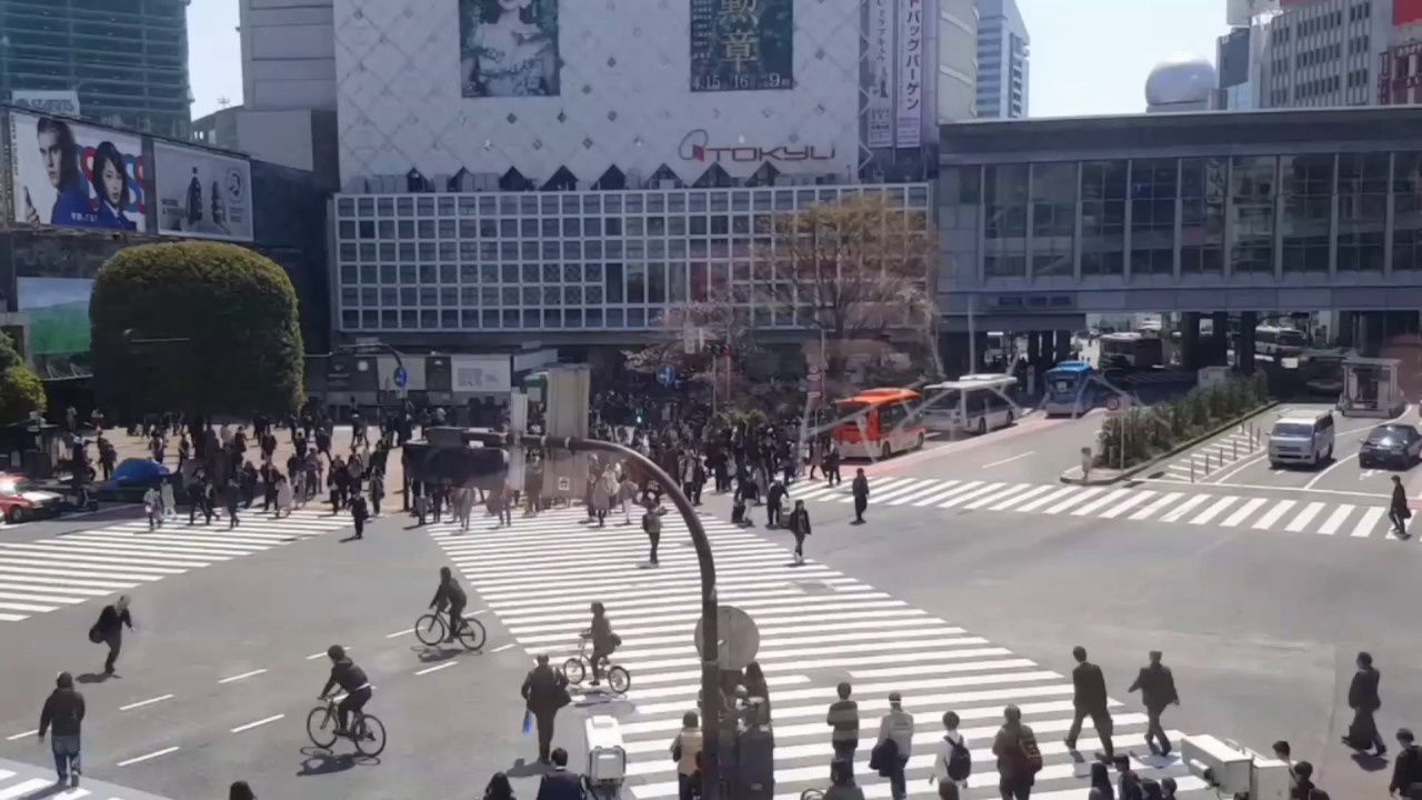 Japan, Tokyo, April 2017(Япония, цветение сакуры). Фотограф во Владивостоке Антон Блохин
