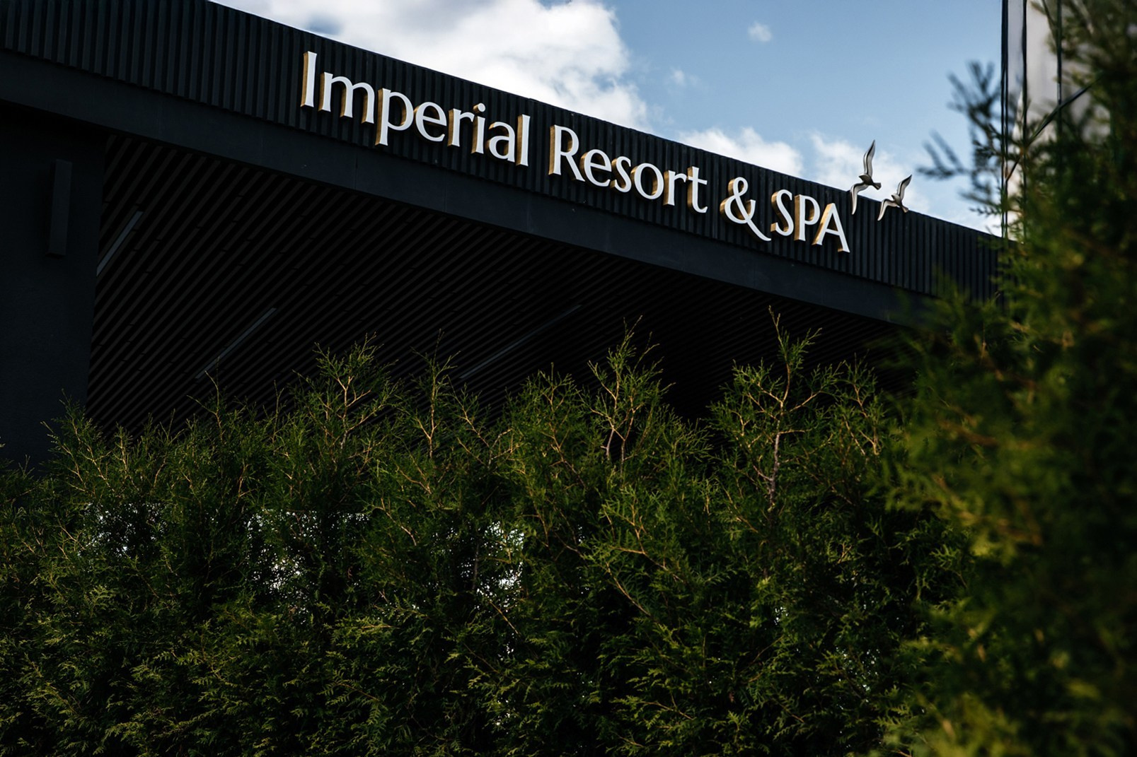 Свадебный фотограф в Ульяновске Максим Дедюля