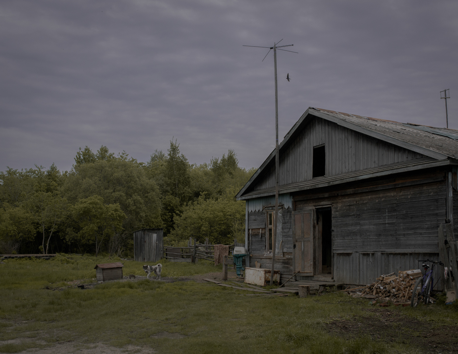 People of the Land. Lesha Pavlov