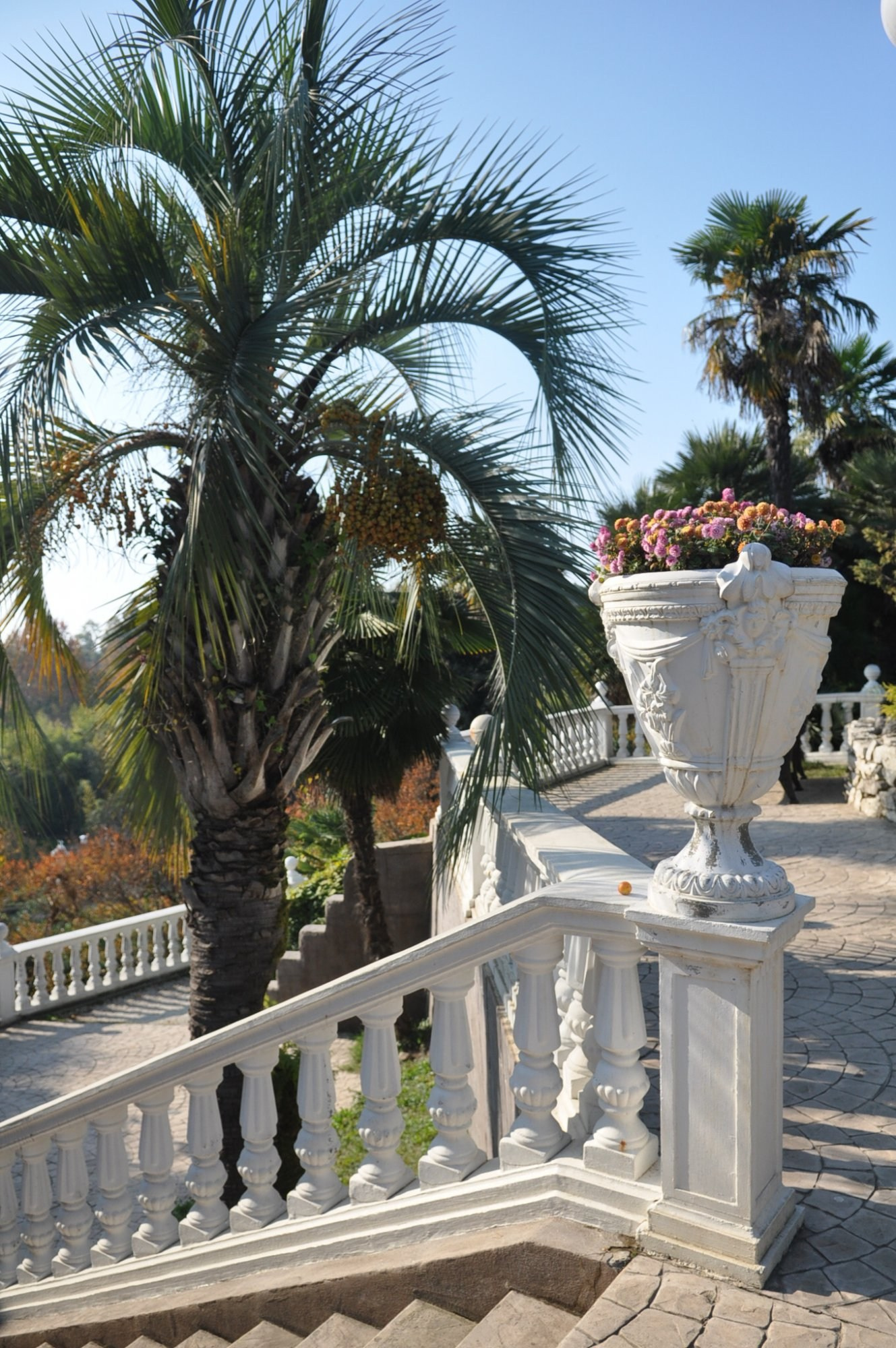 АДЛЕР. Свадебный и семейный фотограф/видеограф в Краснодаре Наталья Осинская