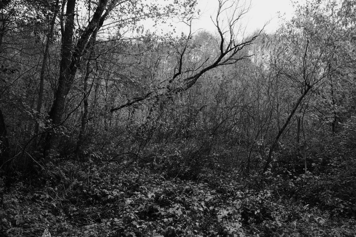 Непокорённая земля. Пылина Ирина — современная фотография