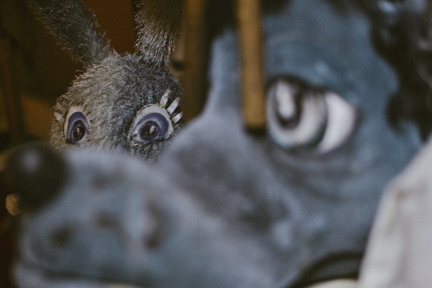 Репортаж. Дарья Пянзина | фотограф |междисциплинарная художница