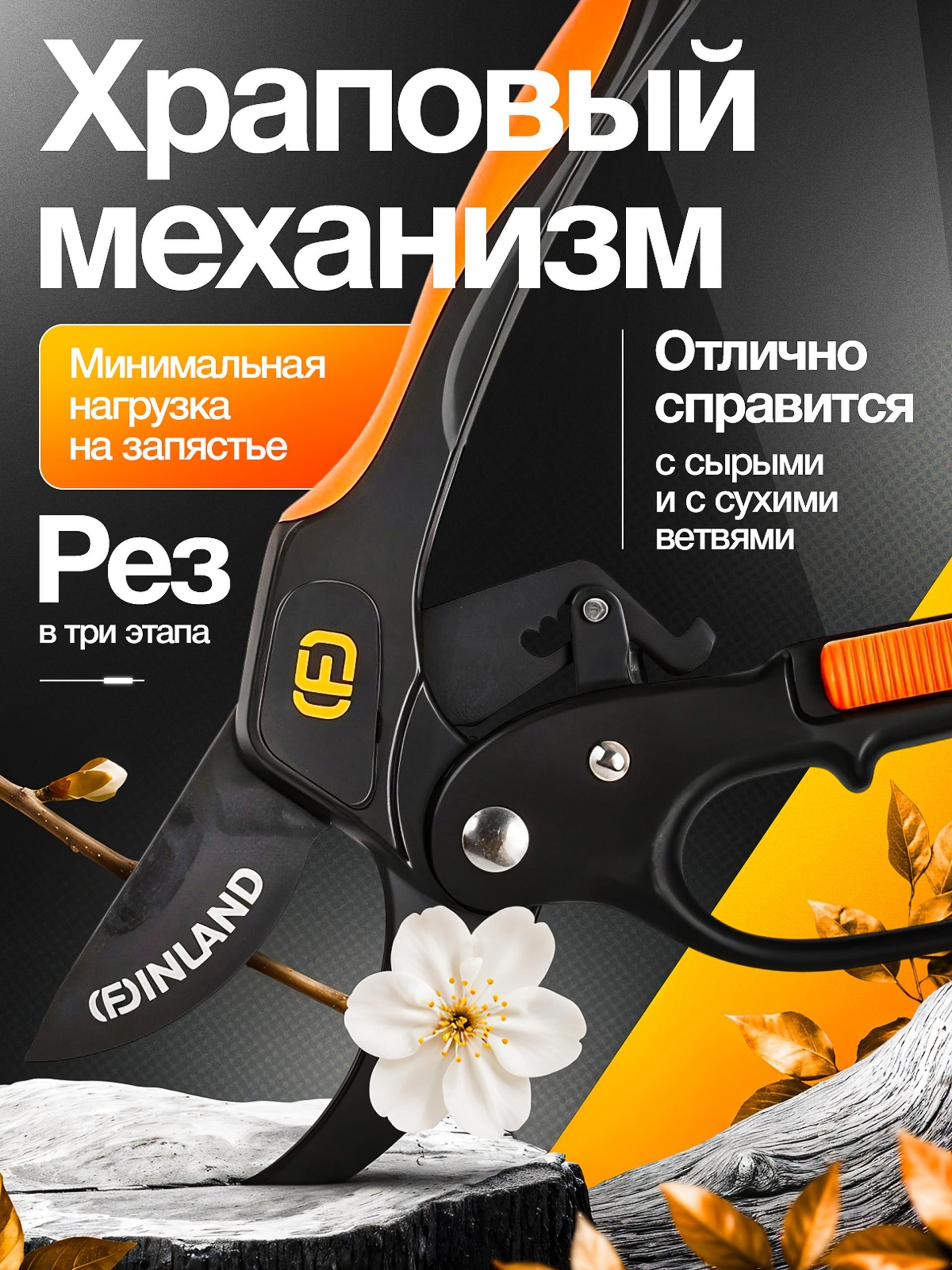 Vexora студия дизайна для e-commerce, рост продаж на Wildberries и Ozon