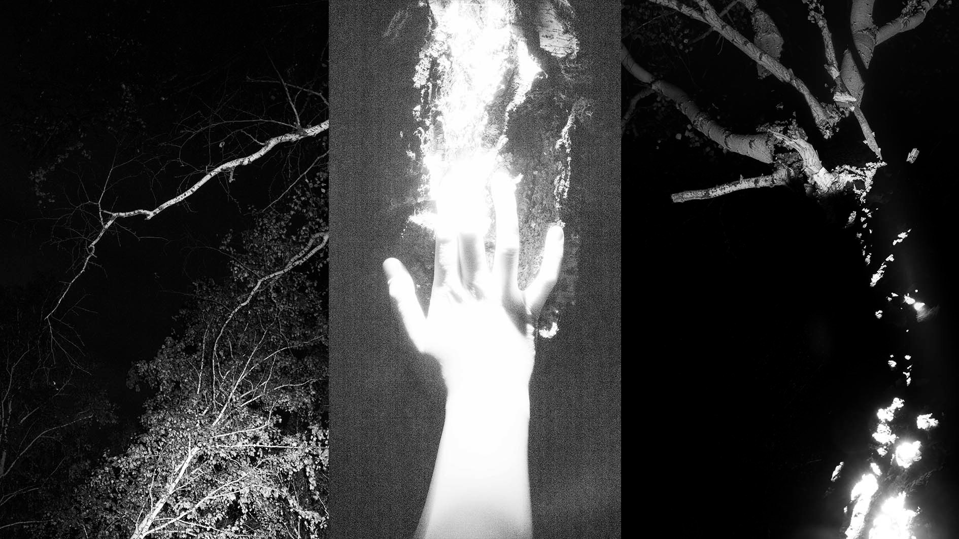 CRADLE. YAKUBOVICH EVA PHOTOGRAHER